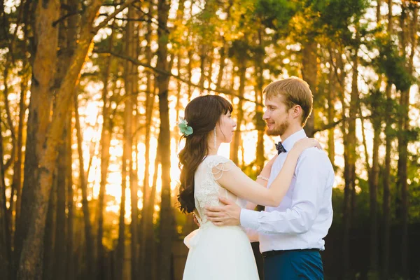 Närbild porträtt av ett par nygifta stående i tallskogen — Stockfoto