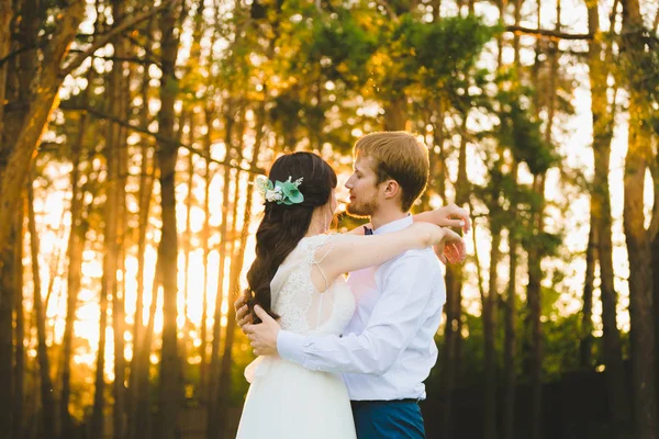 Retrato de cerca de un par de recién casados parados en el bosque de pinos —  Fotos de Stock