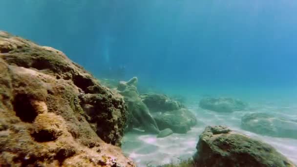 Scène sous-marine avec la statue au fond de la mer et plusieurs plongeurs — Video