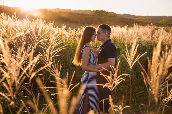 Attractive couple in the field in the evening, sunset light. Love, relationship, date theme.