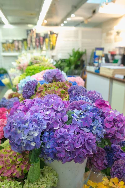 Colorful hydrangeas in a shop at the Flower Market in Hong Kong. Flower and flower business theme.