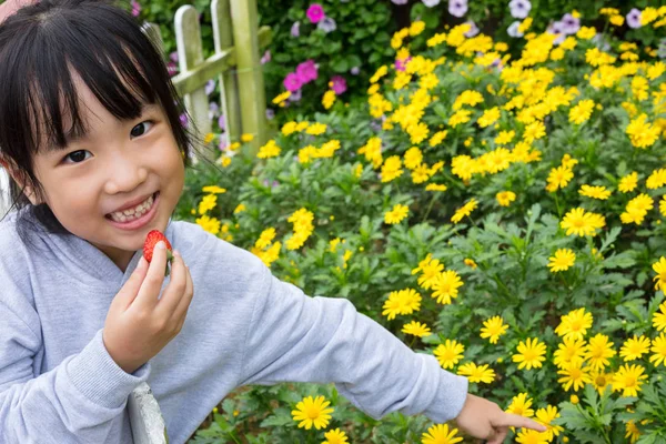 Asyalı Çinli küçük kız Bellis lerdeki alanının yanındaki açık poz