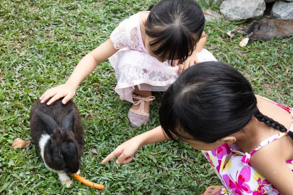 Asian Little Chinese Sisters Feeding Rabbit Carrot Outdoor Farm — Stock Photo, Image