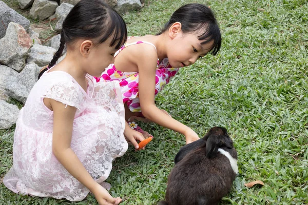 Asya Küçük Çinli Kız Açık Gruptaki Havuç Ile Bir Tavşan — Stok fotoğraf