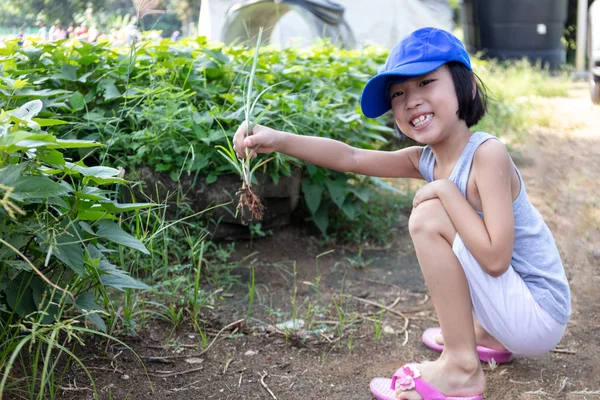 Asiático chinês menina jogar no orgânico fazenda — Fotografia de Stock