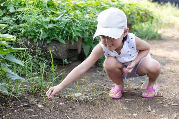 Asian Chinese Little Girl playing at organic farm — Stock Photo, Image