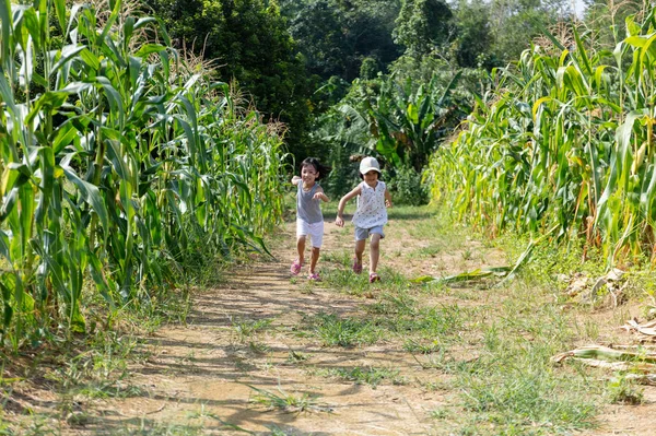 Asiatisch chinesische kleine Schwestern besuchen Biobauernhof — Stockfoto