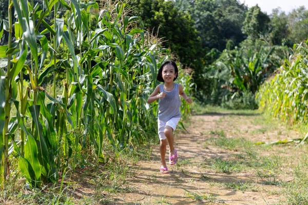 Asya Çinli Küçük Kız organik çiftlik ziyaret — Stok fotoğraf