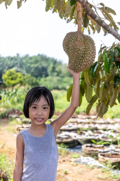 Asiático chinês menina segurando durian na fazenda — Fotografia de Stock