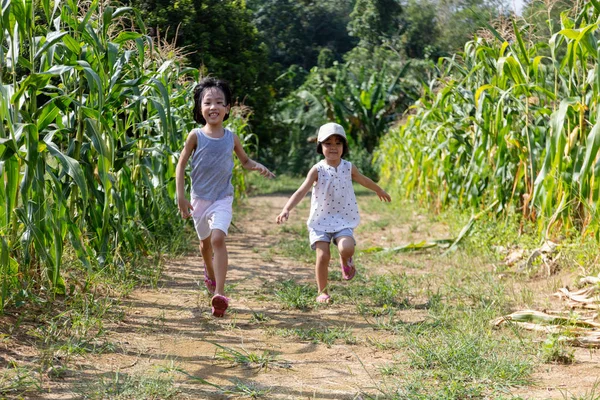 Asian Chinese Little Sisters visiting organic farm — Stock Photo, Image