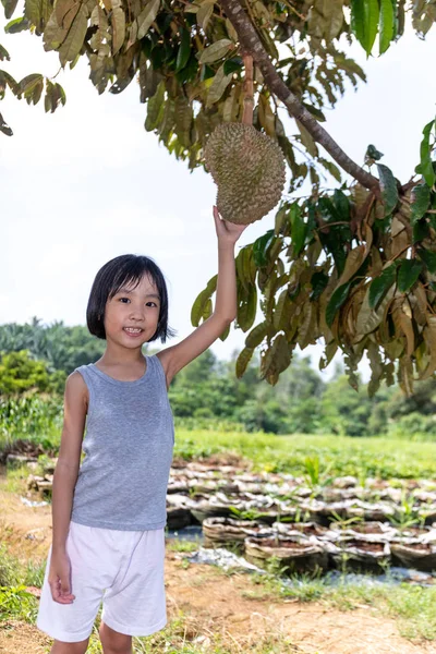 Asiatic chinez mic fata holding durian pe the ferma — Fotografie, imagine de stoc