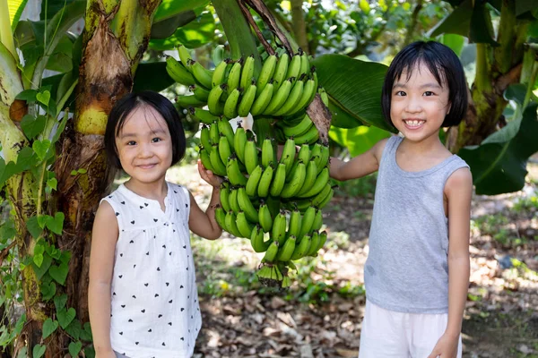 Asiático Chinês Little Sisters segurando banana verde na fazenda — Fotografia de Stock