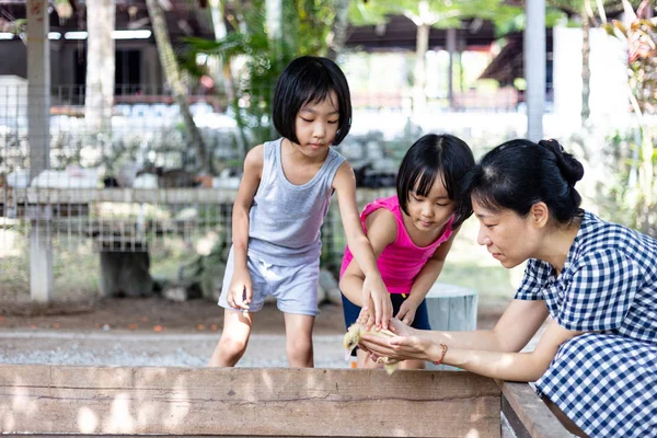 Asiático pouco chinês meninas e mãe jogar wirh pato — Fotografia de Stock