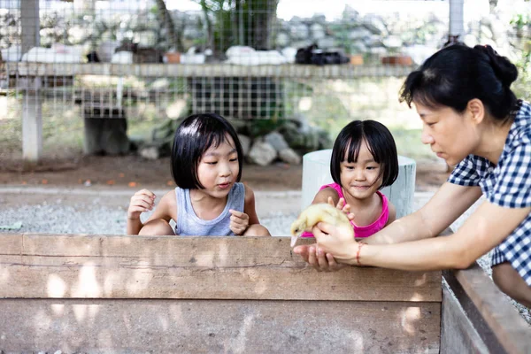 Asiático pouco chinês meninas e mãe jogar wirh pato — Fotografia de Stock