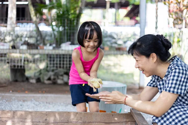아시아 의 작은 중국 소녀 과 어머니 재생 wirh 오리 — 스톡 사진