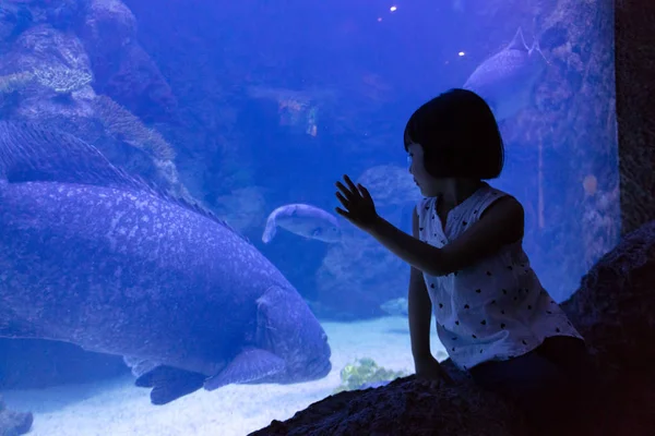 Asiático pouco chinês menina assistindo peixes — Fotografia de Stock