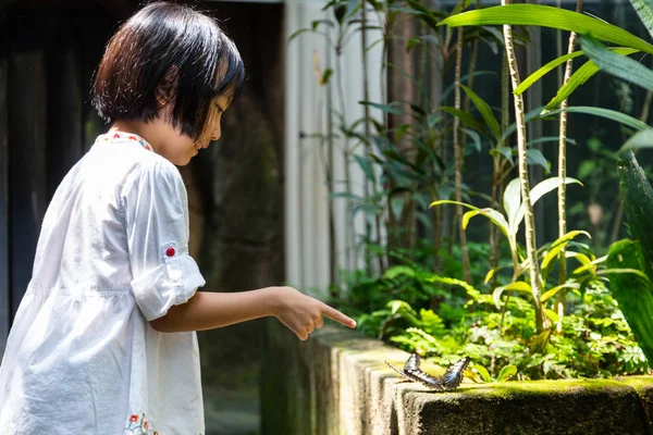 Asijská malá Čínská dívka sleduje motýla — Stock fotografie