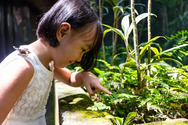 Ásia pouco chinês menina assistindo borboleta — Fotografia de Stock