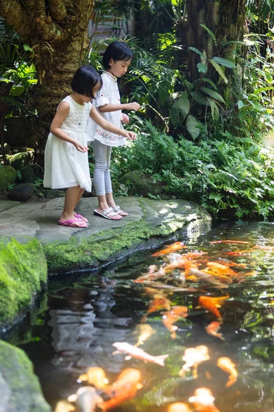 Asian Little Chinese Sisters feeding fish — Stock Photo, Image