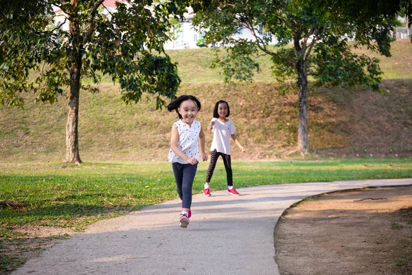 Asyalı Küçük Çinli Sisters mutlu çalışıyor — Stok fotoğraf
