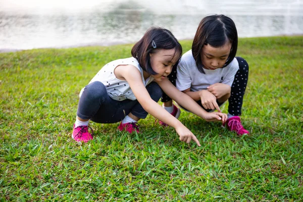 Asiatiska lilla kinesiska systrar som leker i parken Stockfoto