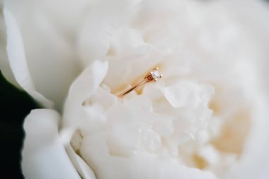 Evlilik yüzükleri.