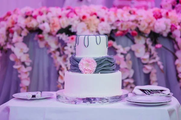 Pastel de bodas en la boda de los recién casados —  Fotos de Stock