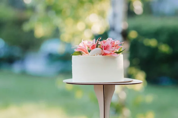 Hochzeitstorte bei der Hochzeit des Brautpaares — Stockfoto