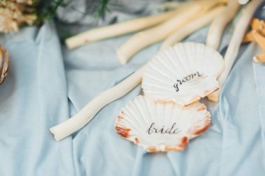 Deniz yıldızı ve deniz kabuğu düğün deco