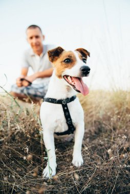Jack Russell Terrier 'ın küçük bir köpeği sahipleriyle yürüyüşe çıkmış.