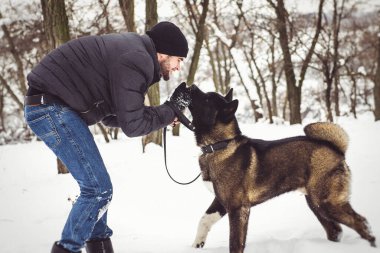 Ceketli ve örgü şapkalı bir adam Amerikan Akita köpeğiyle karlı bir ormanda yürüyor.