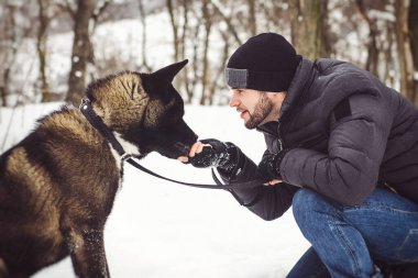 Ceketli ve örgü şapkalı bir adam Amerikan Akita köpeğiyle karlı bir ormanda yürüyor.