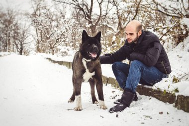 Ceketli ve örgü şapkalı bir adam Amerikan Akita köpeğiyle karlı bir ormanda yürüyor.
