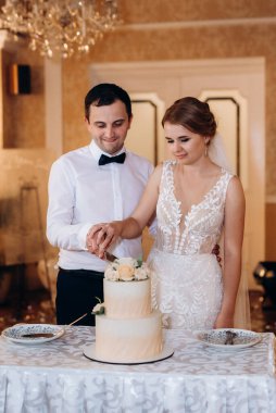 newlyweds happily cut, laugh and taste the wedding cake