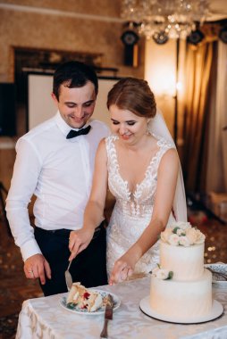 newlyweds happily cut, laugh and taste the wedding cake