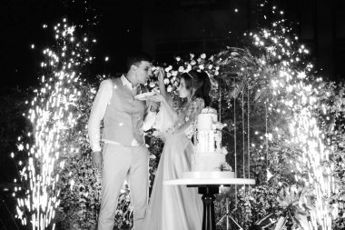 newlyweds happily cut, laugh and taste the wedding cake