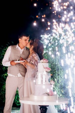 newlyweds happily cut, laugh and taste the wedding cake