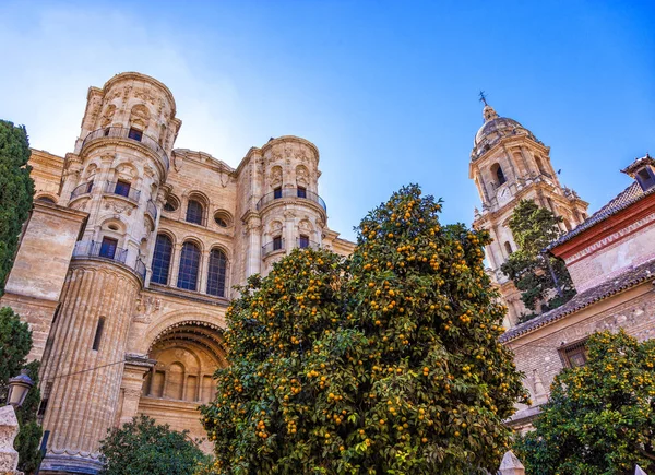Malaga Katedrali