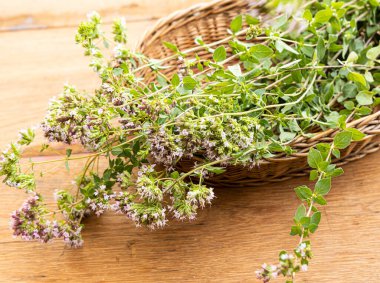 Tahta bir masada yeni toplanmış bir grup yabani keklik otu..