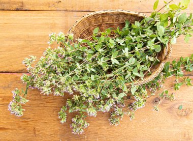 Tahta bir masada yeni toplanmış bir grup yabani keklik otu..