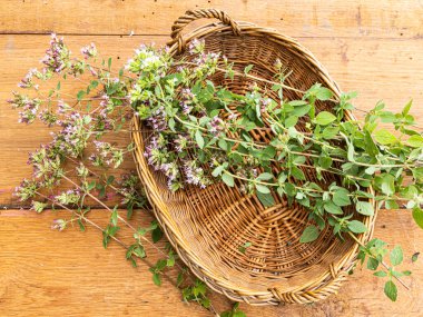 Tahta bir masada yeni toplanmış bir grup yabani keklik otu..