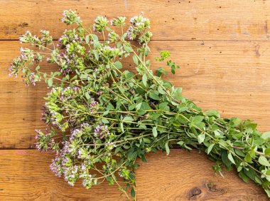 Tahta bir masada yeni toplanmış bir grup yabani keklik otu..