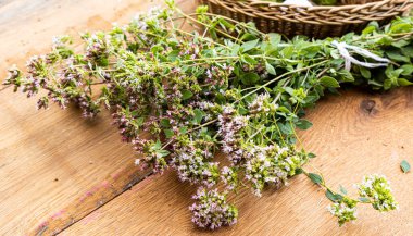 Tahta bir masada yeni toplanmış bir grup yabani keklik otu..