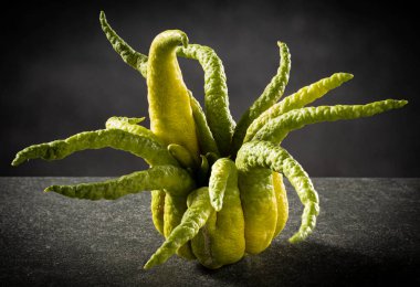 Parmaklanmış sitron, meyveleri parmağa benzeyen bölümlere ayrılmış A. citron çeşididir..