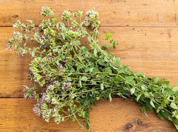 Tahta bir masada yeni toplanmış bir grup yabani keklik otu..