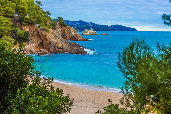 Costa Brava körfezi ve turkuaz suları olan plaj..