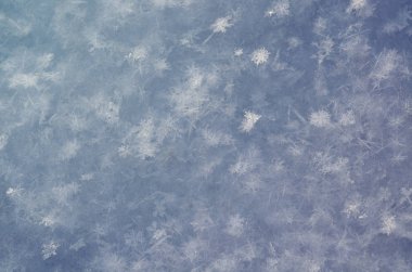 Kar taneleri yakın çekim. yumuşak odak makro fotoğraf. berrak buz. kış. sığ derinlik-in tarla. Noel Tema. Noel arka plan düzen için