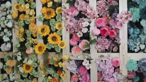 Um grupo de flores coloridas — Vídeo de Stock