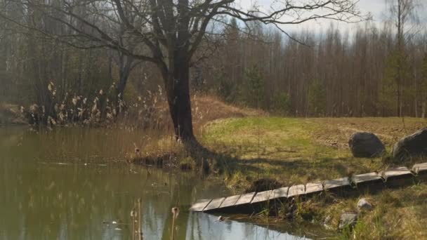 Un pont sur une rivière