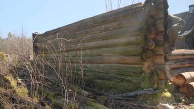 Bir yığın pislik Yüksek kalite görüntüler